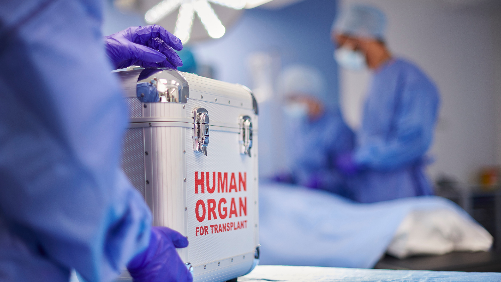 Organ Transplant